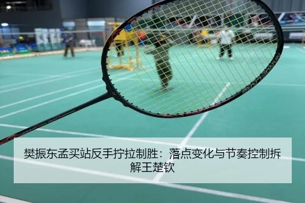 樊振东孟买站反手拧拉制胜：落点变化与节奏控制拆解王楚钦